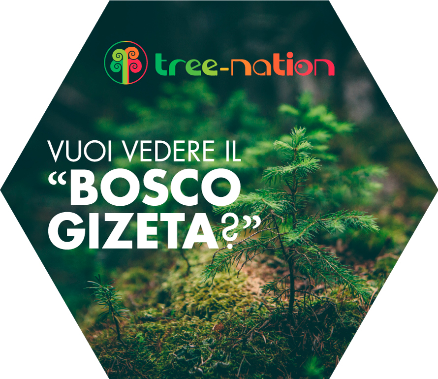 integratore_vitaminico